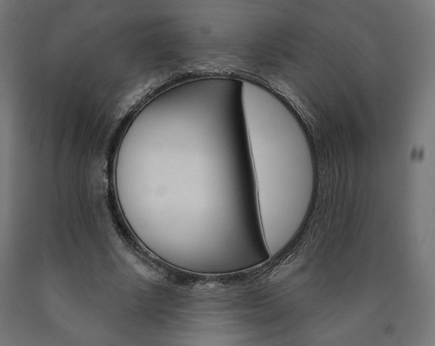X0000090980634200708021142