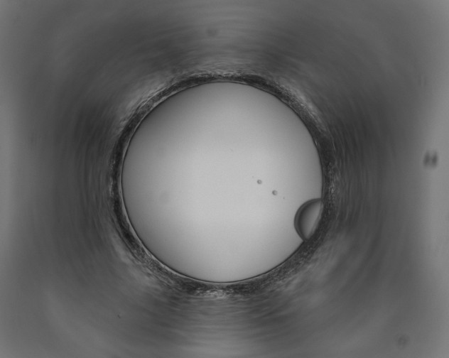 X0000090980635200708021142
