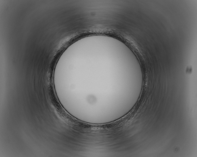 X0000090980636200708021142