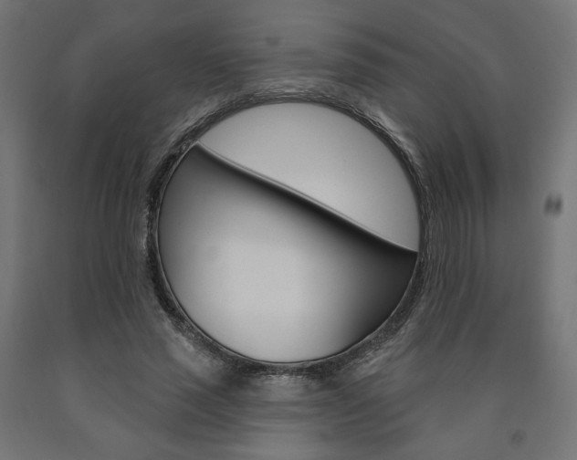 X0000090980637200708021142