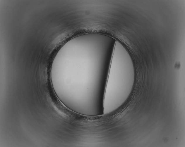 X0000090980638200708021142