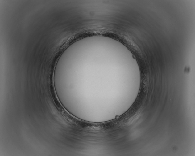 X0000090980639200708021142