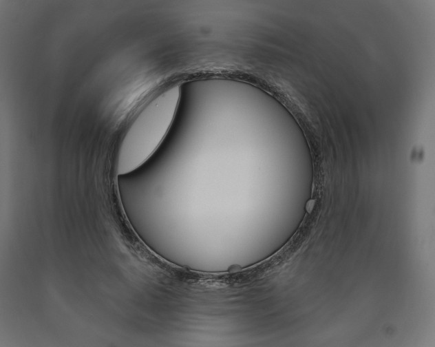 X0000090980640200708021142