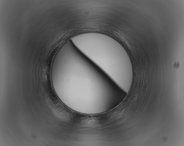 X0000090980643200708021142