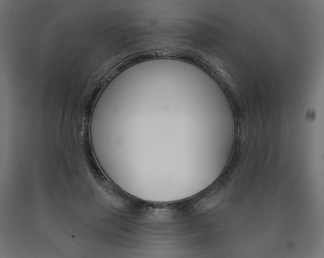 X0000090980645200708021142