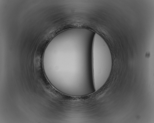 X0000090980646200708021142