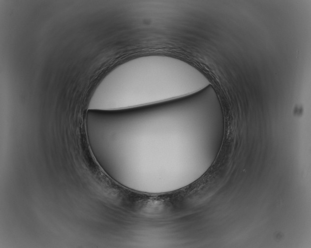 X0000090980647200708021142