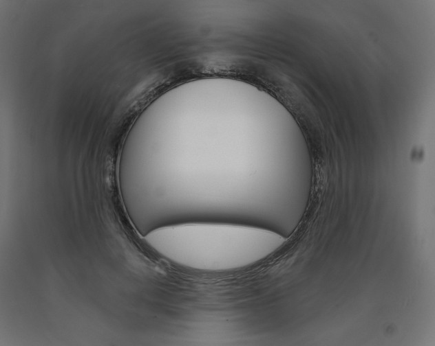 X0000090980648200708021142