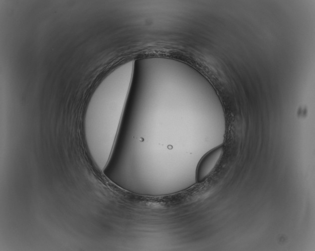 X0000090980649200708021142