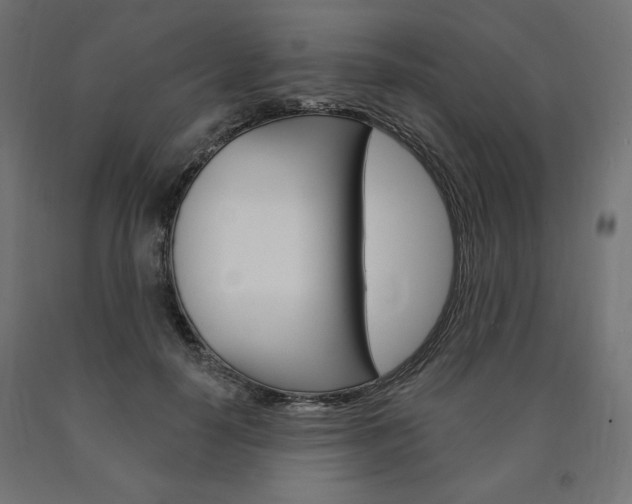 X0000090980650200708021142