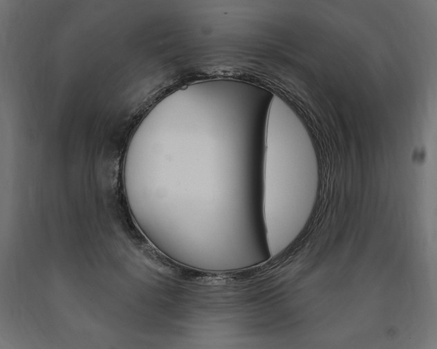 X0000090980652200708021142