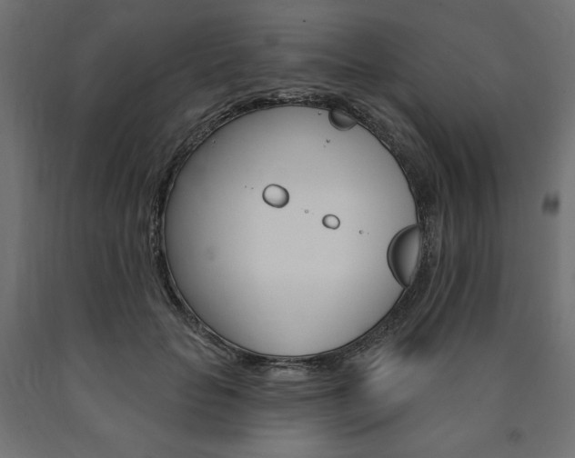 X0000090980653200708021142