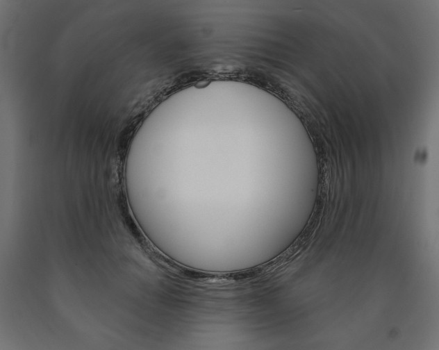 X0000090980654200708021142