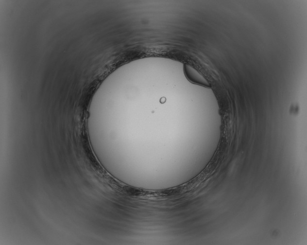X0000090980655200708021142
