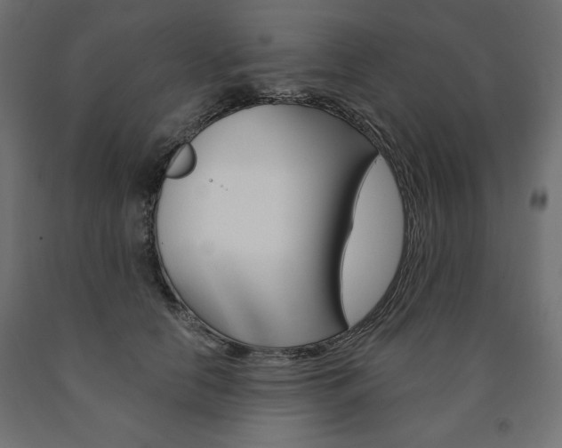 X0000090980658200708021142
