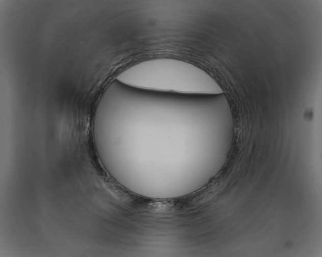 X0000090980660200708021143