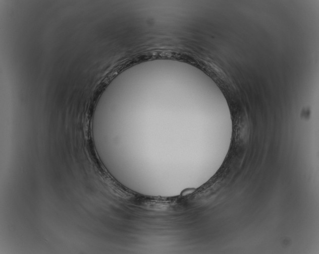 X0000090980661200708021143