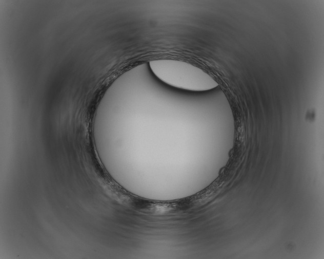 X0000090980662200708021143