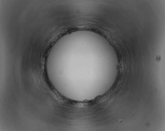 X0000090980664200708021143