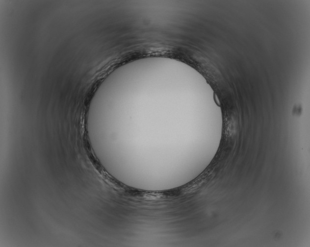 X0000090980666200708021143