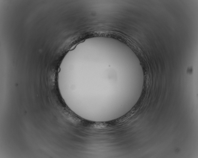 X0000090980668200708021143