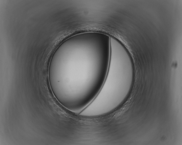 X0000090980673200708021142