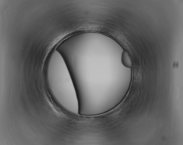 X0000090980674200708021142