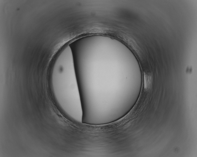 X0000090980675200708021142
