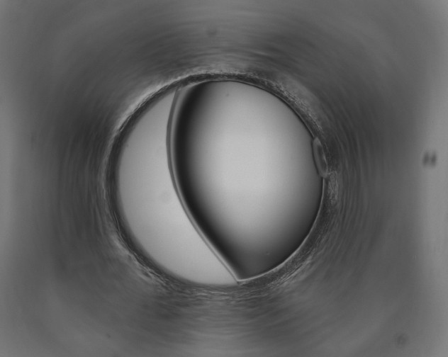 X0000090980676200708021142