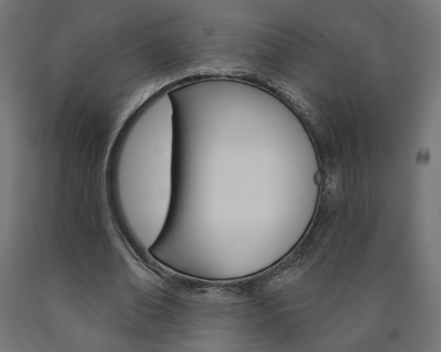 X0000090980678200708021142