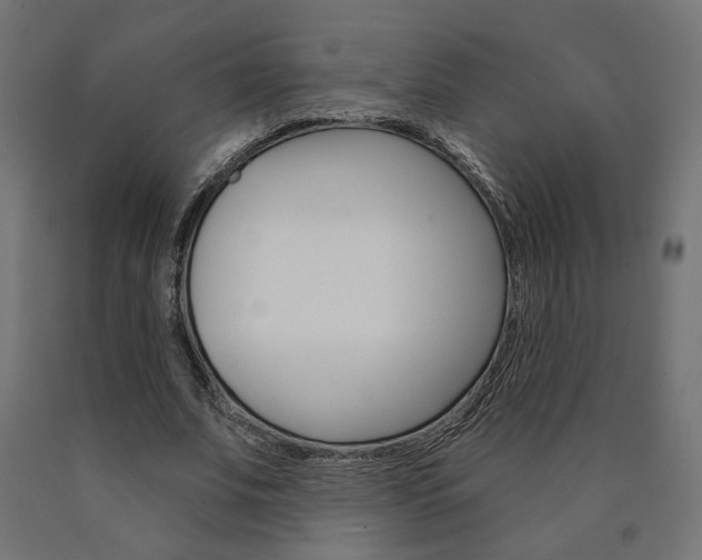 X0000090980679200708021142