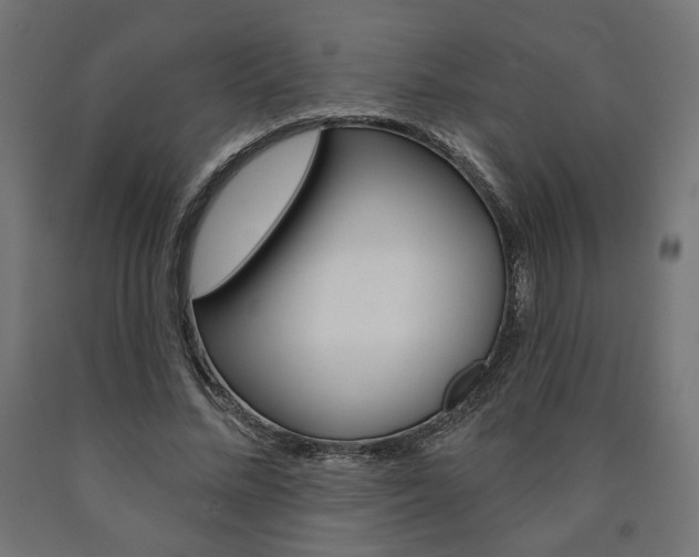 X0000090980684200708021142