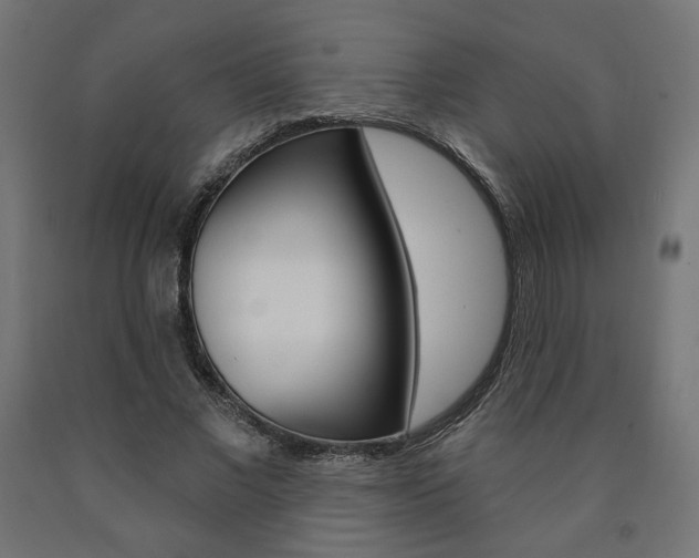 X0000090980685200708021142