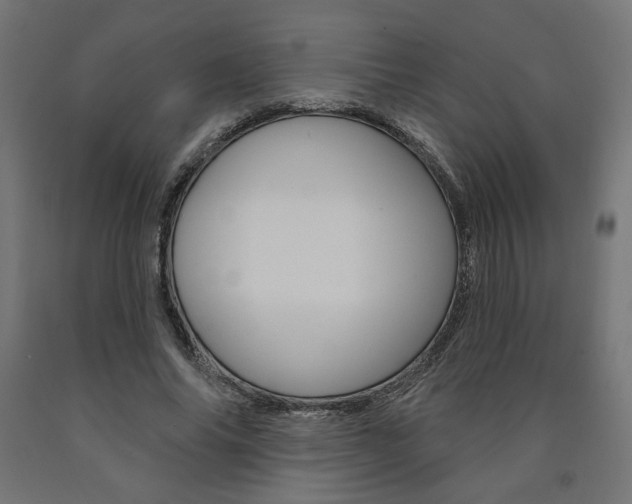 X0000090980686200708021142