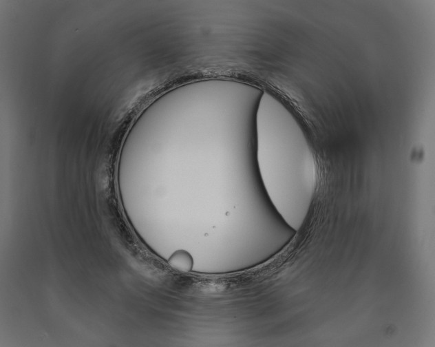 X0000090980687200708021142