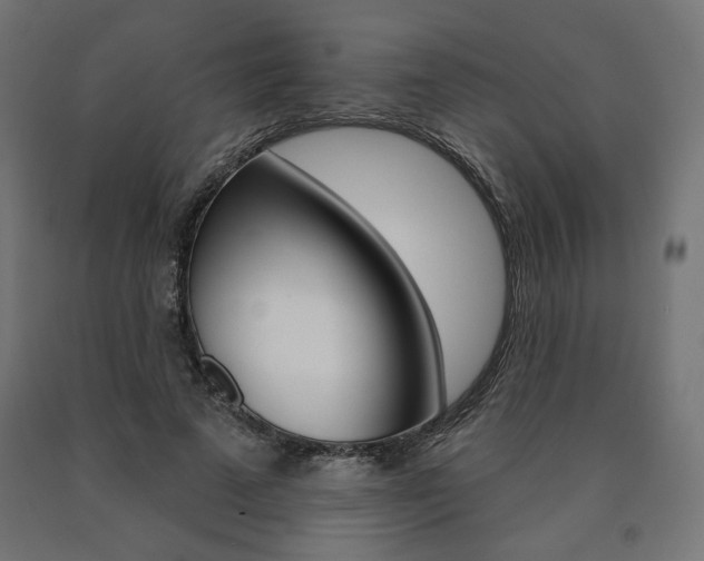 X0000090980689200708021142