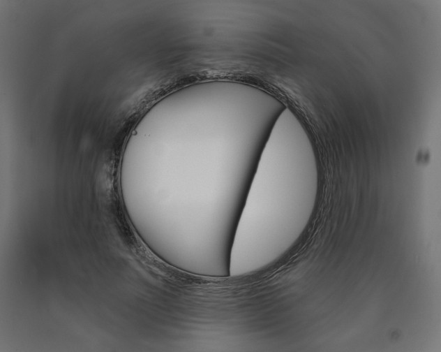X0000090980691200708021142