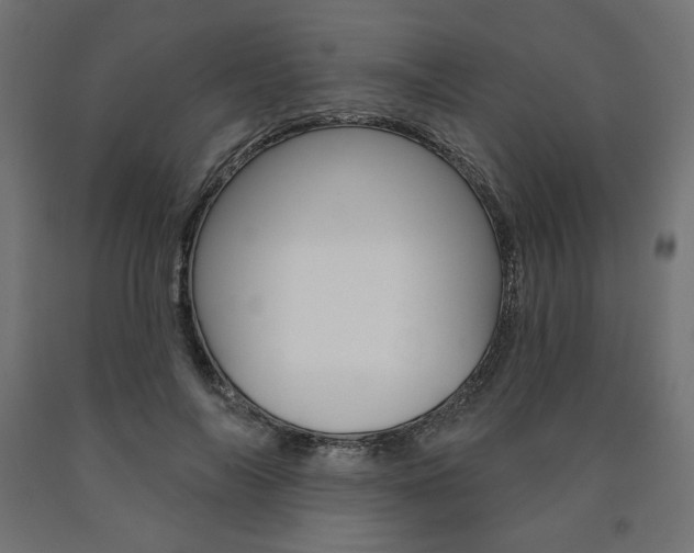 X0000090980694200708021142