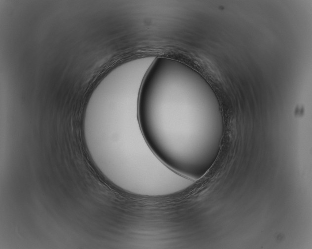 X0000090980697200708021142