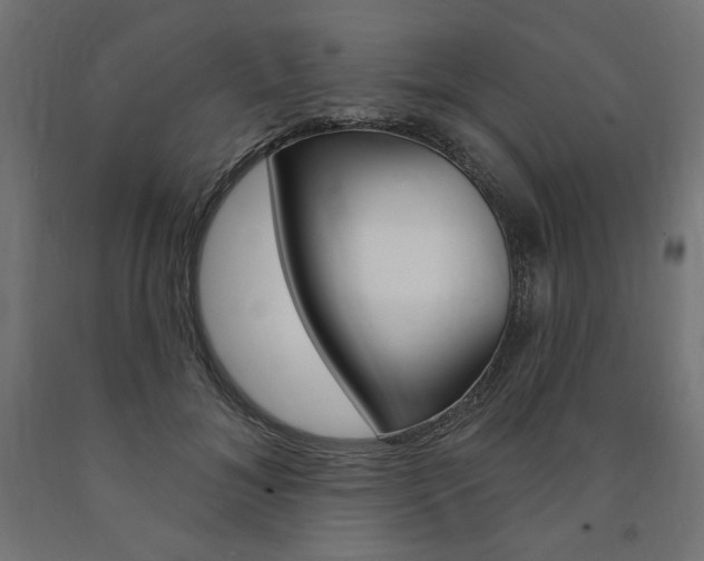 X0000090980700200708021142