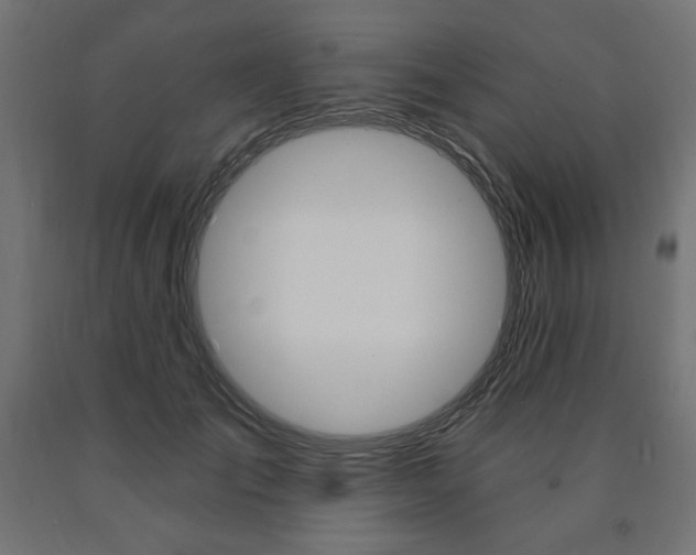 X0000090980701200708021142