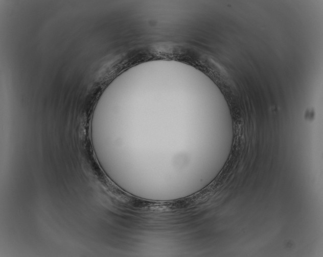 X0000090980702200708021142