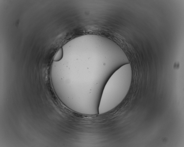 X0000090980703200708021142