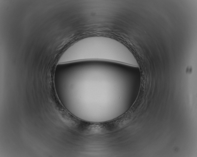 X0000090980704200708021142