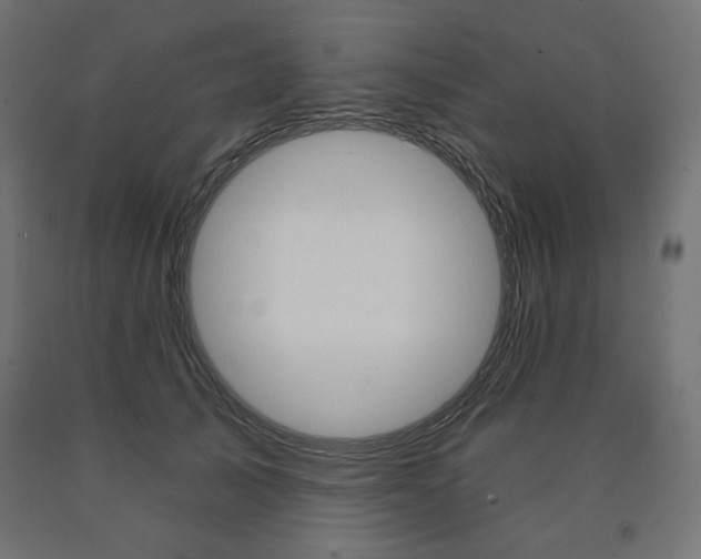 X0000090980705200708021142