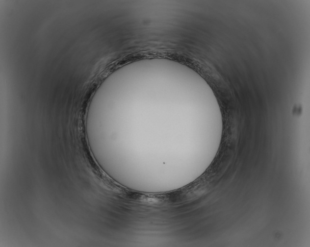 X0000090980706200708021141