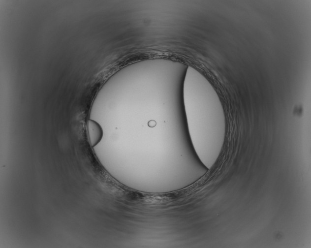 X0000090980707200708021141