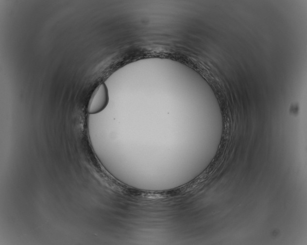 X0000090980710200708021141