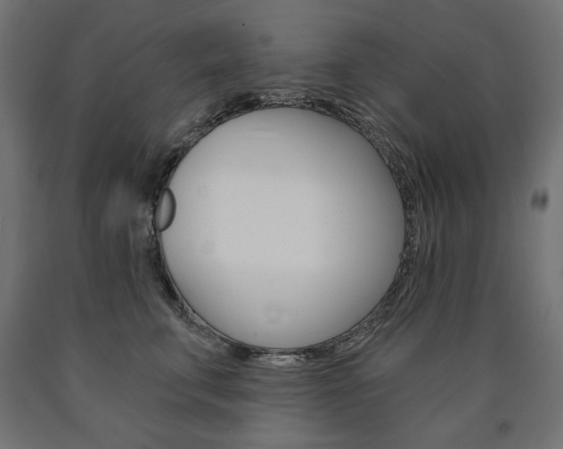 X0000090980711200708021141