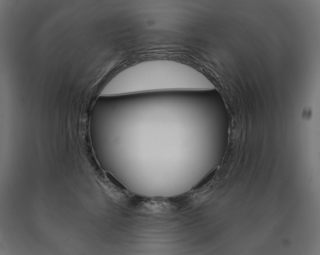 X0000090980712200708021141